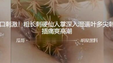 重口刺激！粗长刺硬仙人掌深入湿逼叶多尖刺抽插痛爽高潮